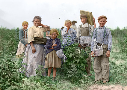 harvest, pickers, poland, berry pickers, hand labor, arm, family