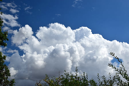 clouds, sky, blue, clouds form, trees, nature, outdoors