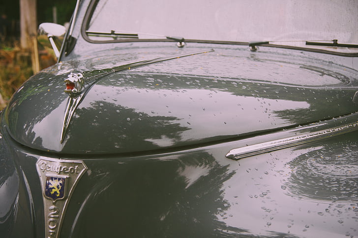 grön, Peugeot, Classic, bil, design, regn, Vintage