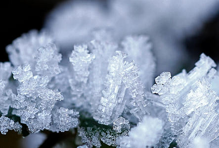 Ice, moden, rimfrost, eiskristalle, frosne, kolde, Frost