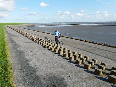 堤防, 堤道, 北海, nordfriesland, 骑自行车, 周期, 鸽子