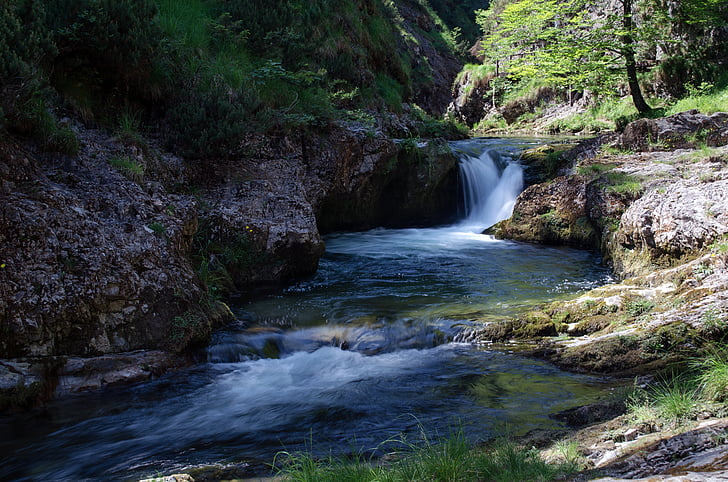 weiße Nebenfluss-Schlucht, Wasser, Wasserfall, Schlucht, Rest, Alpine, Natur