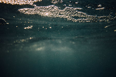 Já?, oceán, voda, Příroda, pod vodou, bokeh, pozadí