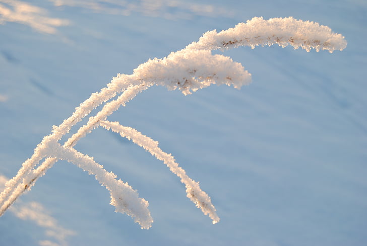 frost, snow, winter, cold, airplane, flying, air