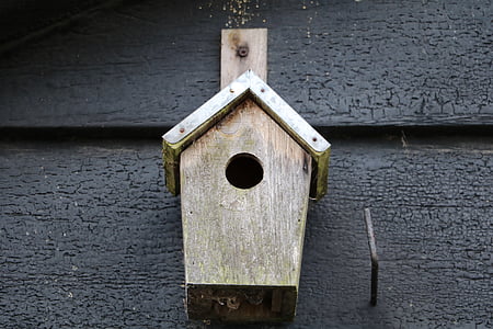 birdhouse, skedenj, ptica, ni ljudi, vode, arhitektura, zgrajene zgradbe