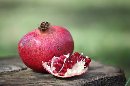 pomegranate, fruit, plant