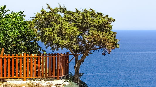 tree, sea, cliff, landscape, blue, horizon, scenery