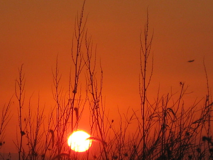 muru ja sunset, Sunset, punane päikeseloojang