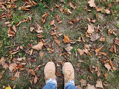 fogli di caduta, caduta, foglie, terra, piedi, scarpe, autunno