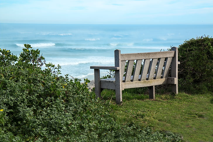 bench, seaside, view, peaceful, sea, vacation, summer