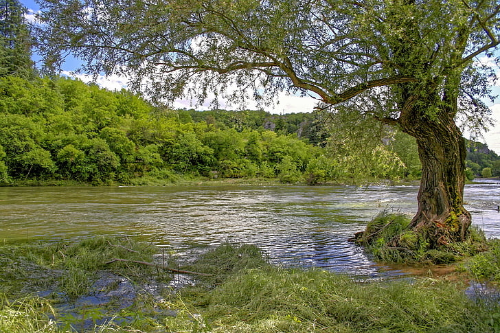 Ardèche, Rzeka, kajak, Wąwóz Ardèche, Balazuc, wakacje, krajobraz