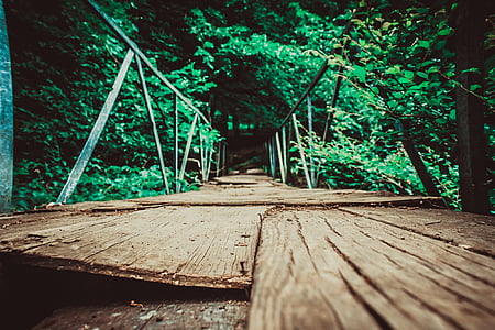 Bridge, Värv, suu silla, loodus, Õues, Travel, puud