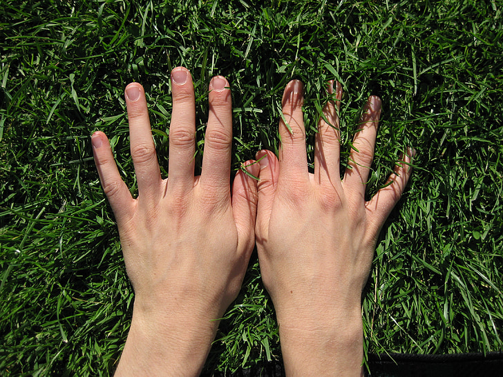 hånd, hænder, græs, finger, ENG, grøn