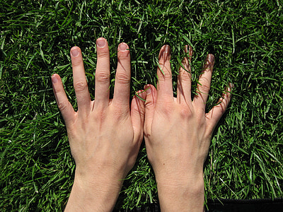 hånd, hender, gresset, fingeren, eng, grønn