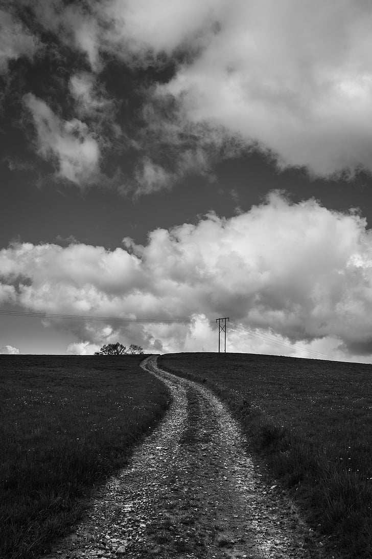 grayscale, photo, road, black and white, view, field, nature
