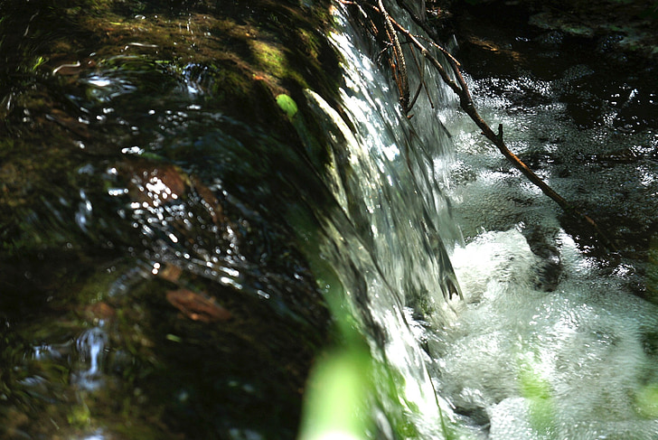 wody, Wodospad, Bach, wody, Natura, wyczyścić, lasu
