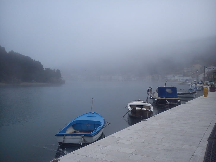Novigrad, havet, dimma, Adriatiska havet, hamn, fiskebåtar, båtar