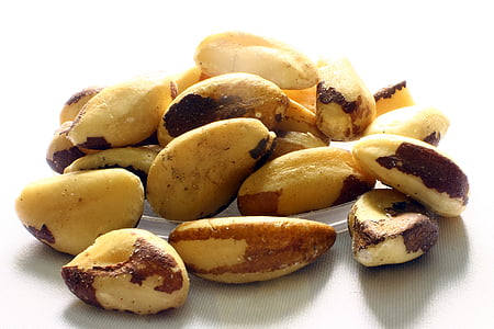 Brazil nut, hạt Brazil-acre, hạt Brazil, tocari, tururi, Bertholletia excelsa, sức khỏe