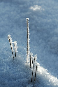 Eis, Eiskristalle, Winter, gefroren, Eistee, Frost, Winterimpressionen
