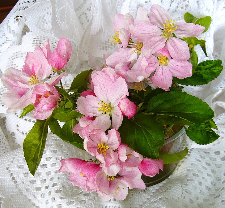 appel bloesem, bloem, regeling, roze bloesem, Floral, Bloom, seizoen