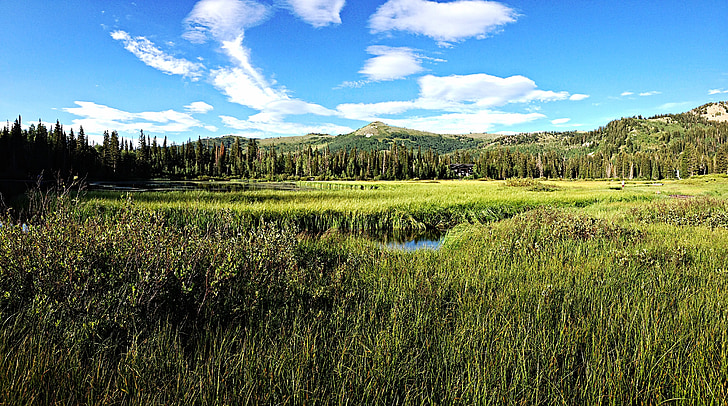 mountain, meadow, nature, scenery, outdoor, sky, scenic
