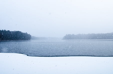 tělo, jezero, mlha, počasí, sníh, zamrzlé jezero, studená teplota