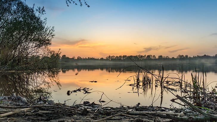 pesochin, Ukraine, Sunset, floden, skov, tåge, orange