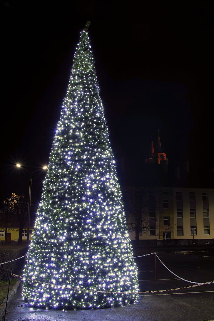 christmas tree, the lights, lights, stars, christmas decoration, christmas, christmas ornaments
