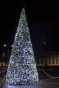 albero di Natale, le luci, luci, stelle, decorazione di Natale, Natale, ornamenti di Natale