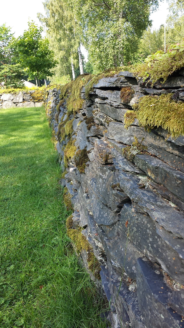 stenmur, väggen, Moss