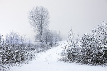 kalla, land, landskap, Road, snö, vinter, naturen