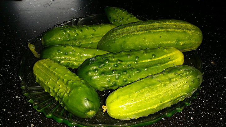 오이, 수확, 바스 테라스, 야채, 여름
