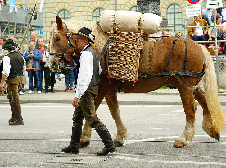 München, parada, Oktoberfest, cal, fermier, ţărănimea