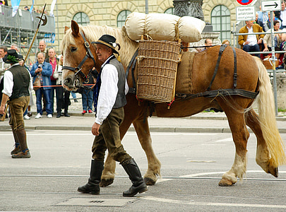 Munique, desfile, Oktoberfest, cavalo, agricultor, campesinato