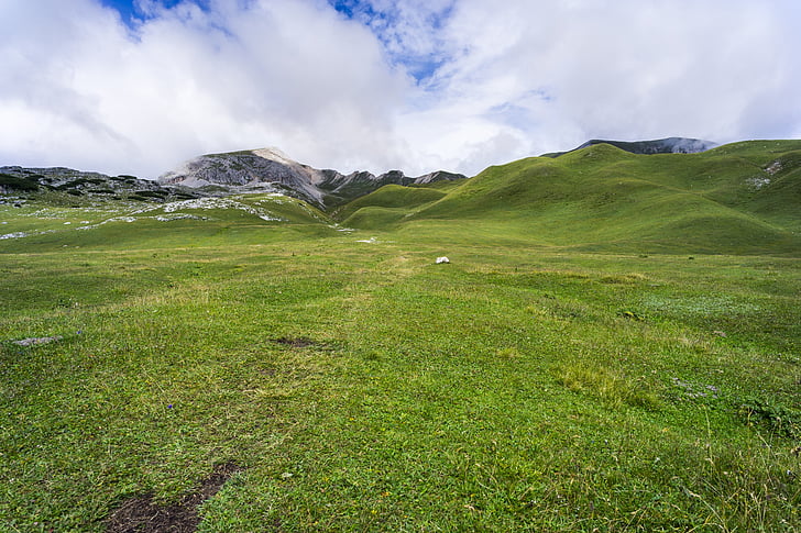 meadow, hills, highlands, landscape, nature, green, outdoor