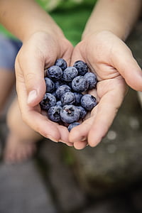 blueberries, fruit, fruits, delicious, food, nutrition, red