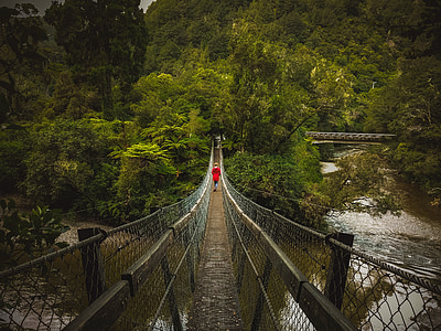Jembatan, Jembatan ayun, orang, merah, hijau, Selandia Baru, LOTR