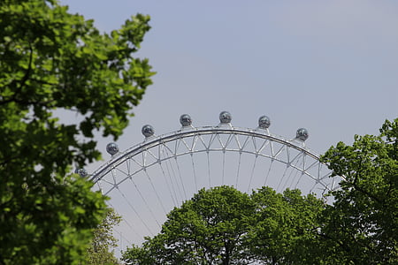 Londres, Noria, olho de Londres, atração, árvore, roda gigante, Parque de diversões