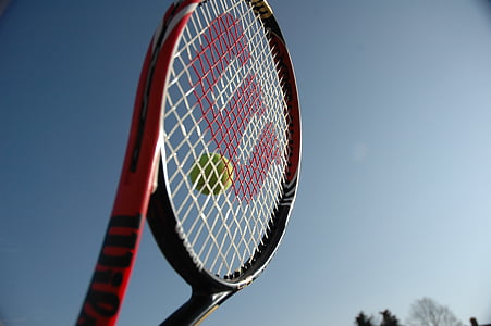 Wilson, raquete de tênis, tênis de Jonathan Menezes, desporto, vista de ângulo baixo, céu, tênis
