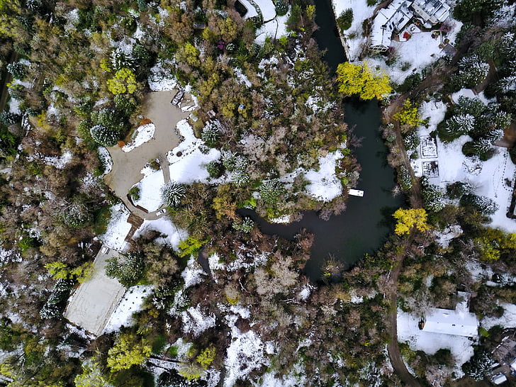 green, plants, trees, aerial, view, river, water