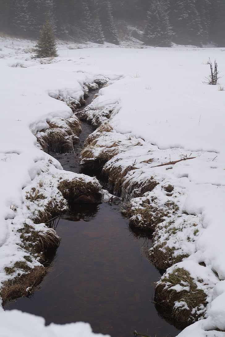 winter, snow, stream, nature, flowing, cold - Temperature, outdoors