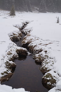 iarna, zăpadă, Stream, natura, care curge, rece - temperatura, în aer liber