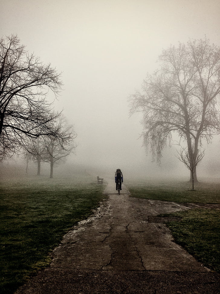 туман, велосипедист, Природа, деревья, путь, Грин, природные