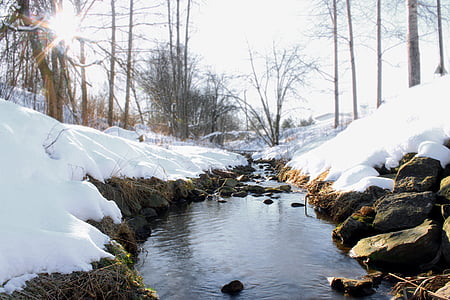 winter, day, the creek, forest, snow, sun, landscape