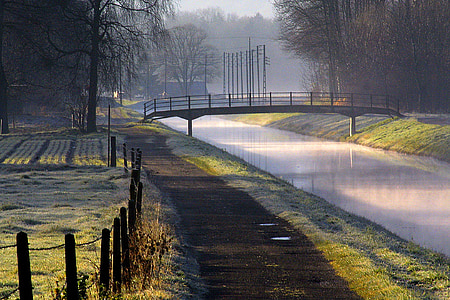canal, brouillard, pont, chemin d’accès, nature