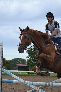 sportovní, jízda na koni, kůň, žokej, skok