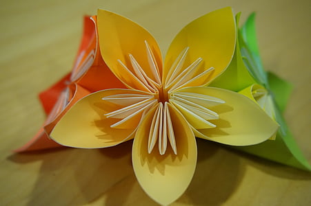 Origami, květ, skládání papíru, moduly