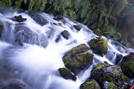 time, lapse, photography, water, running, moss, covered