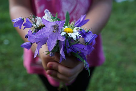 flores, Strauss, púrpura, manos, niño, dar, regalo