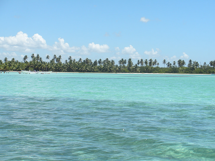 dominican republic, caribbean, sea, nature, blue, water, palms